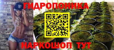 спайс Кунгур