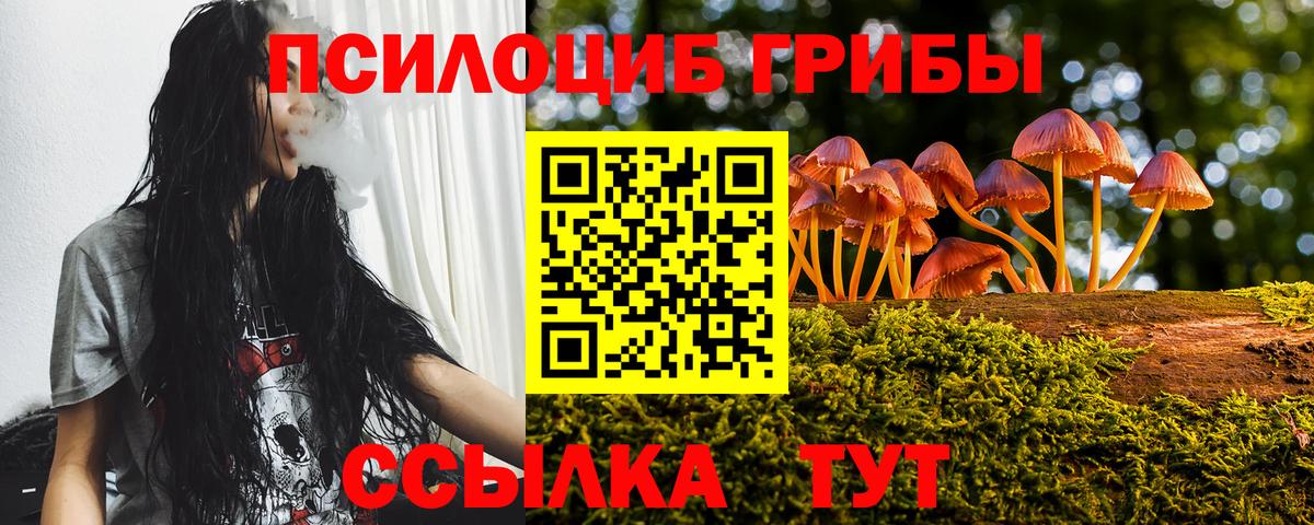Елизово  Псилоцибиновые грибы Cubensis  Вход с VPN 